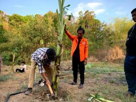 Penanaman Pisang Sanggar Tani Muda PPK ORMAWA HMPS FISIKA 2023